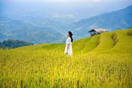 Confermata la volontà di cooperazione agricola Bulgaria – Vietnam